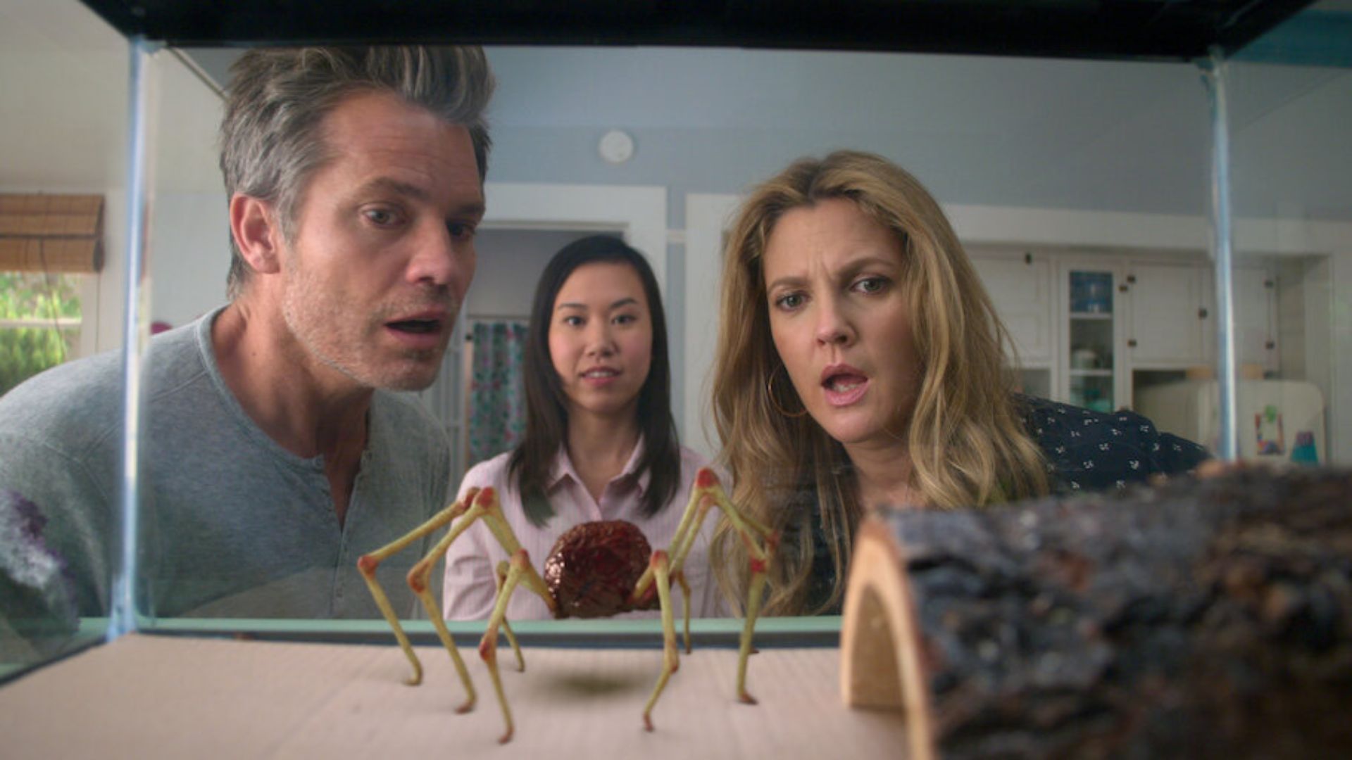Santa Clarita Diet (Image via Netflix)