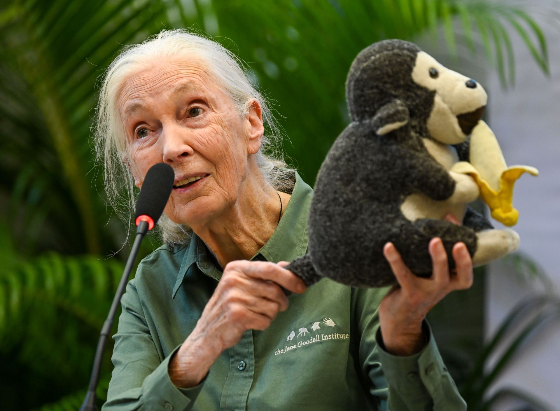 Renowned Conservationist Dr. Jane Goodall Begins &#039;Hope Global Tour&#039; In Mumbai - Source: Getty
