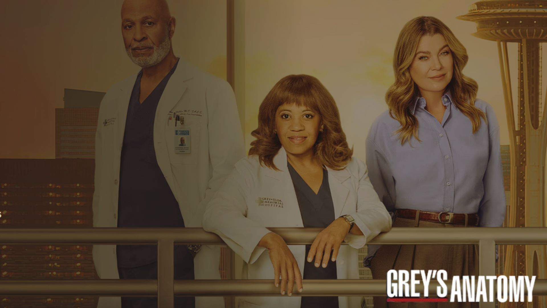Grey&rsquo;s Anatomy Protional Poster (Image Via: Hulu)
