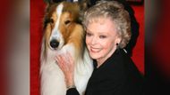 General Hospital alum June Lockhart with Lassie | Image: JPI