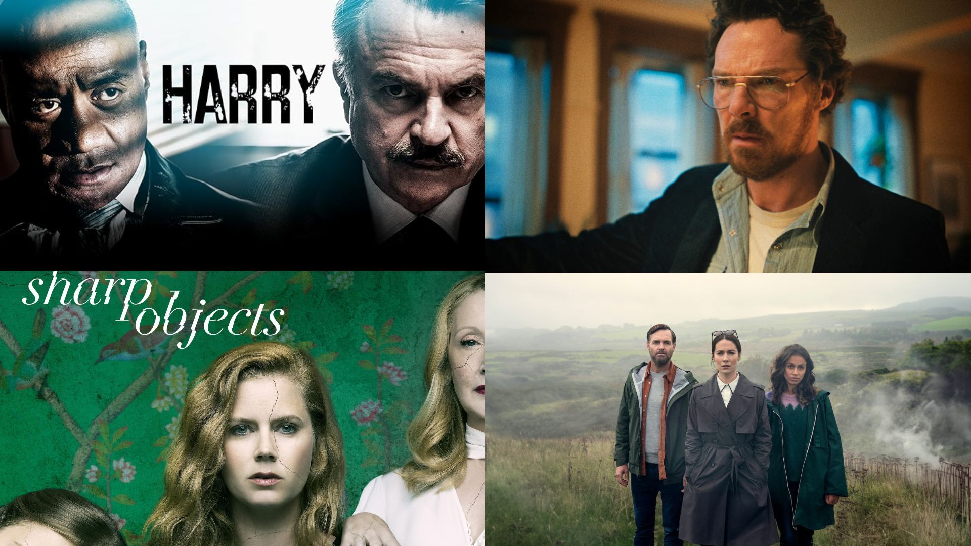 TV shows like The Lowdown | Images via Netflix and Prime Video