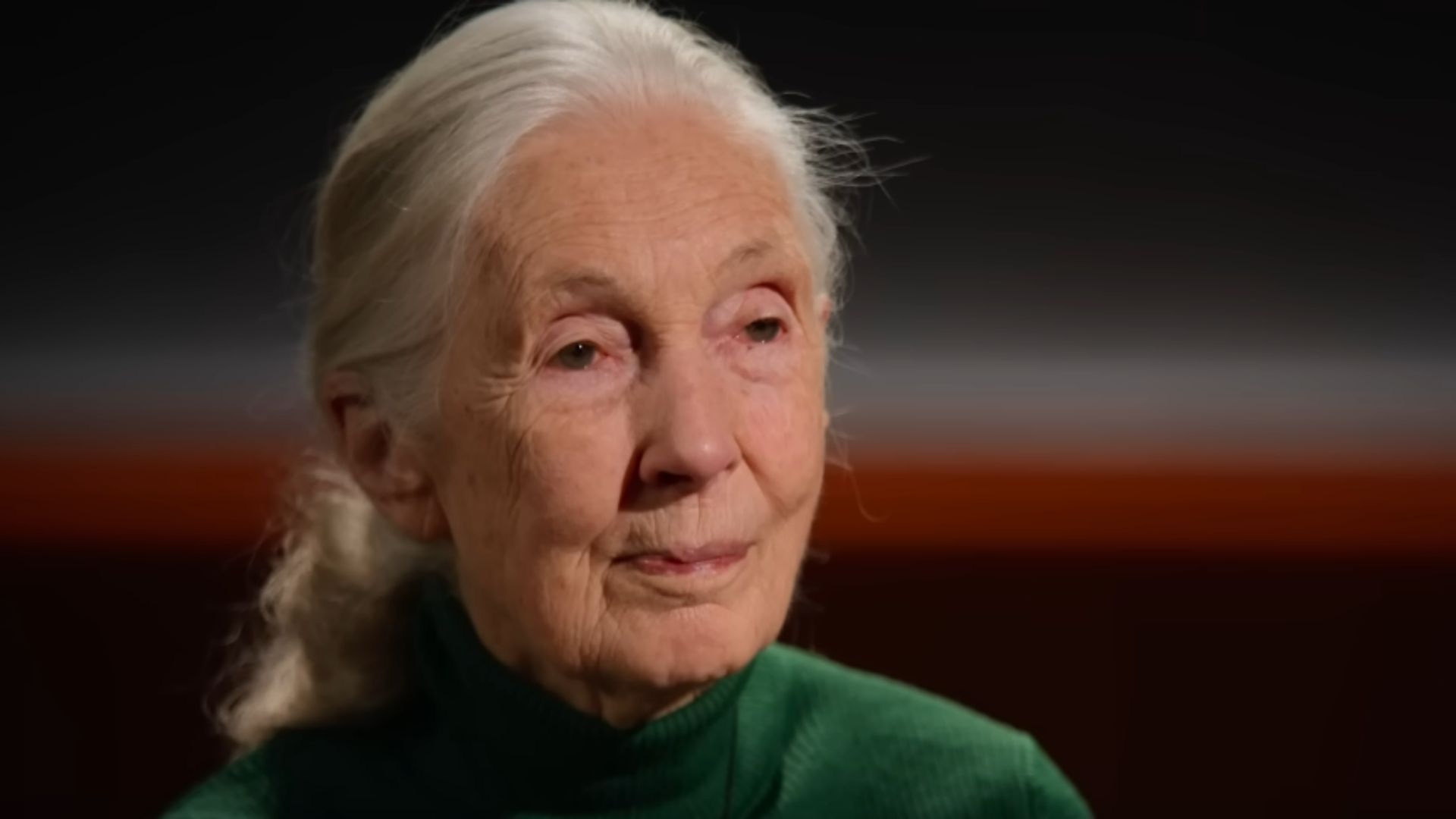 Jane Goodall on Netflix