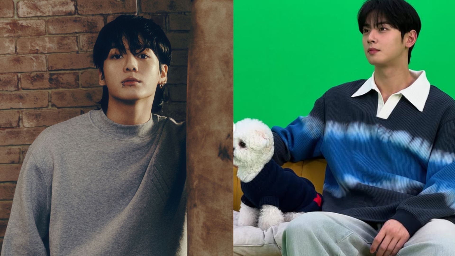 BTS&rsquo; Jungkook supports Cha Eunwoo&rsquo;s film &lsquo;The First Ride&rsquo; amid his military enlistment