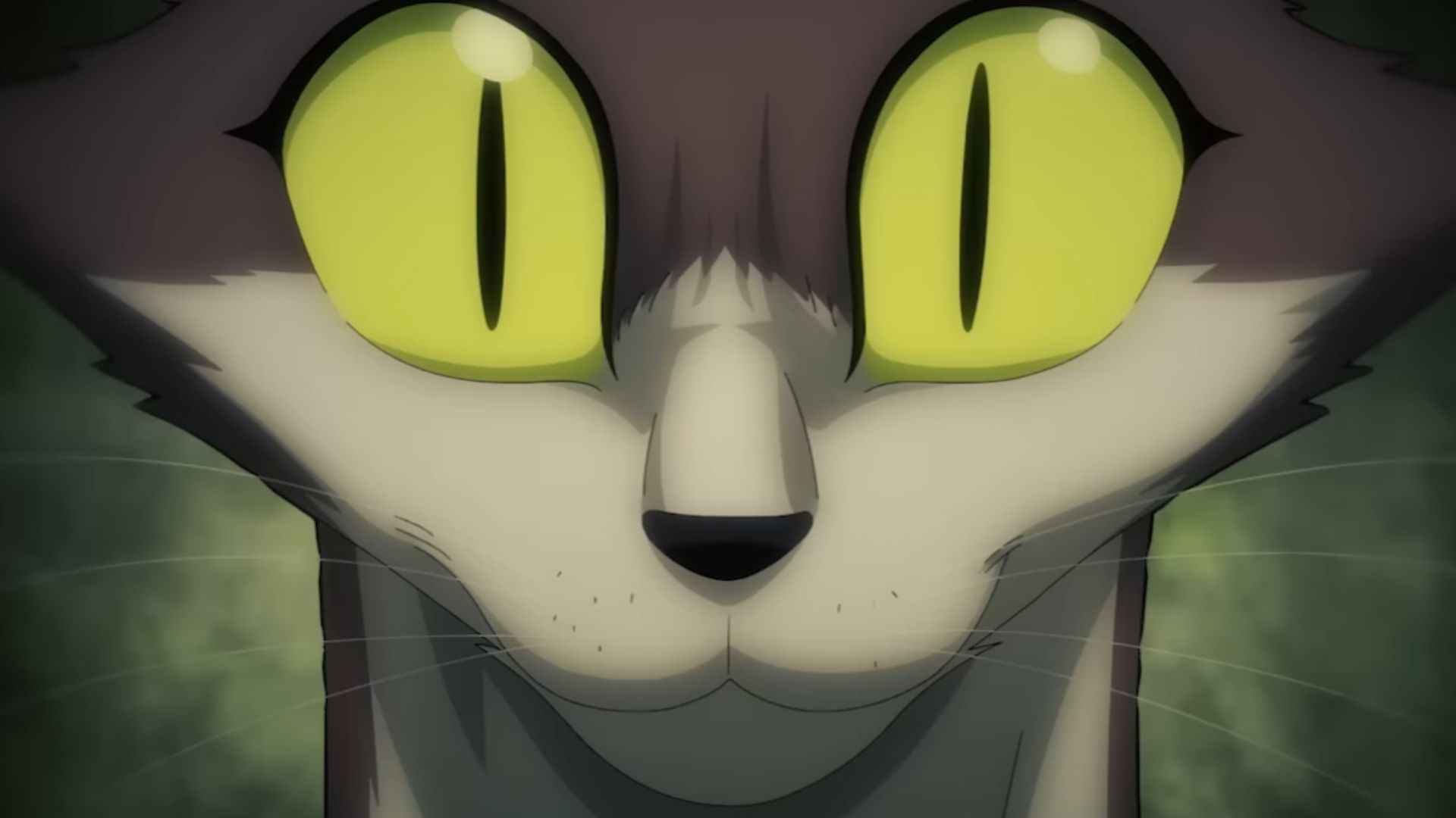 Nyan&#039;s first appearance in the series (Image Source: J.C. Staff)