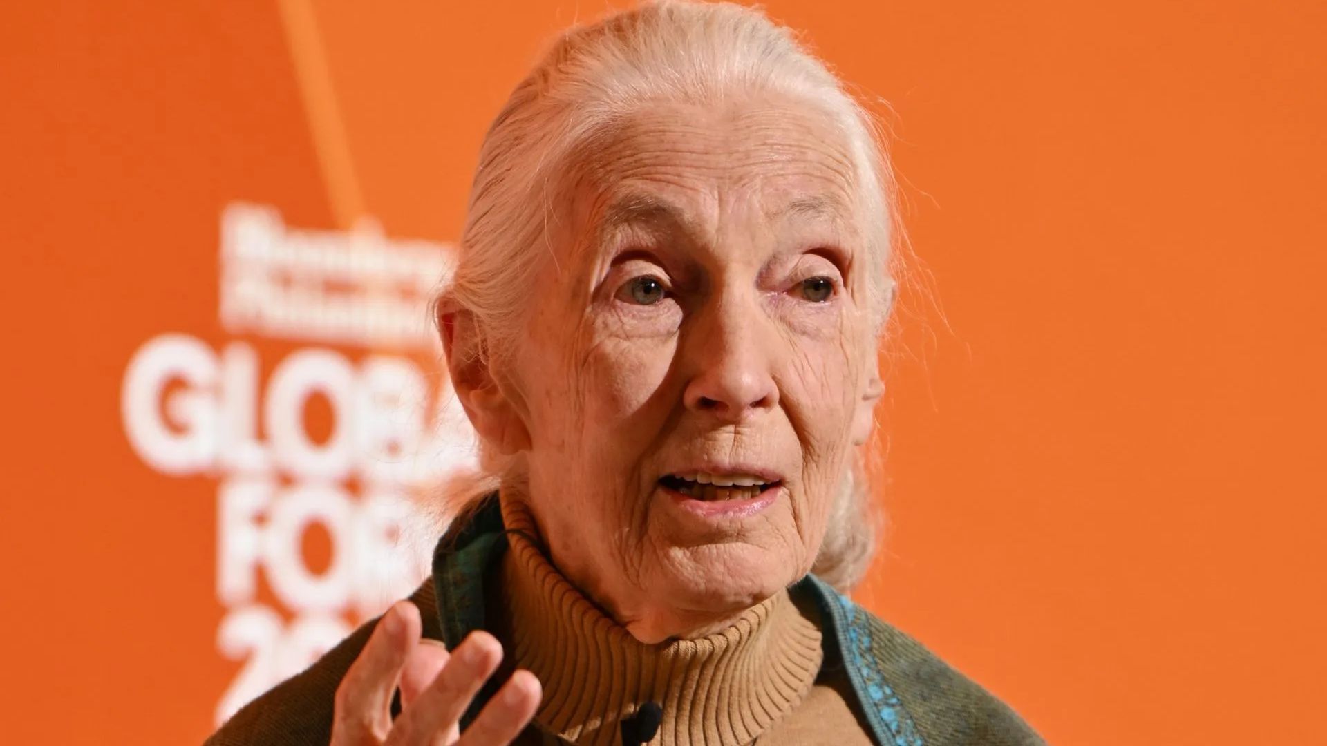 Jane Goodall passes away at 91 (Image via Getty)