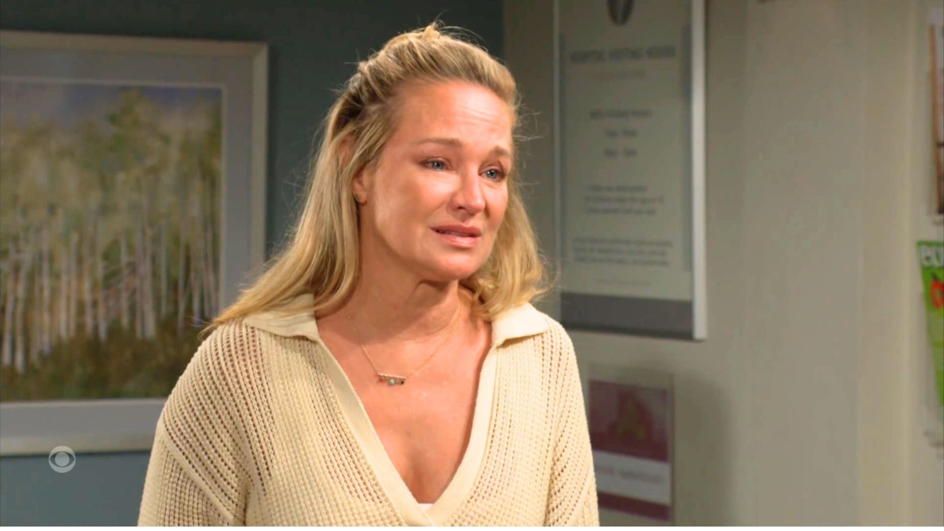 Sharon Case plays Sharon Newman on The Young and the Restless | Image: CBS