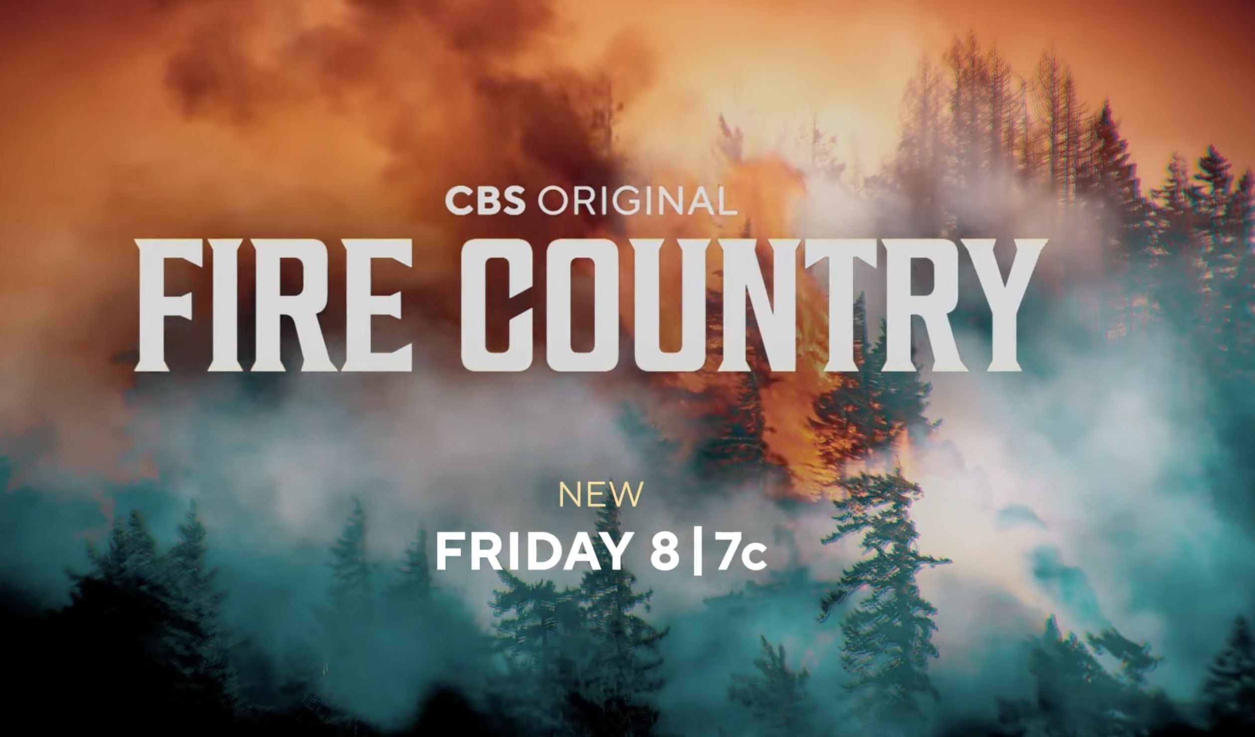 Fire Country Season 4 cast and character guide (Image Via CBS)