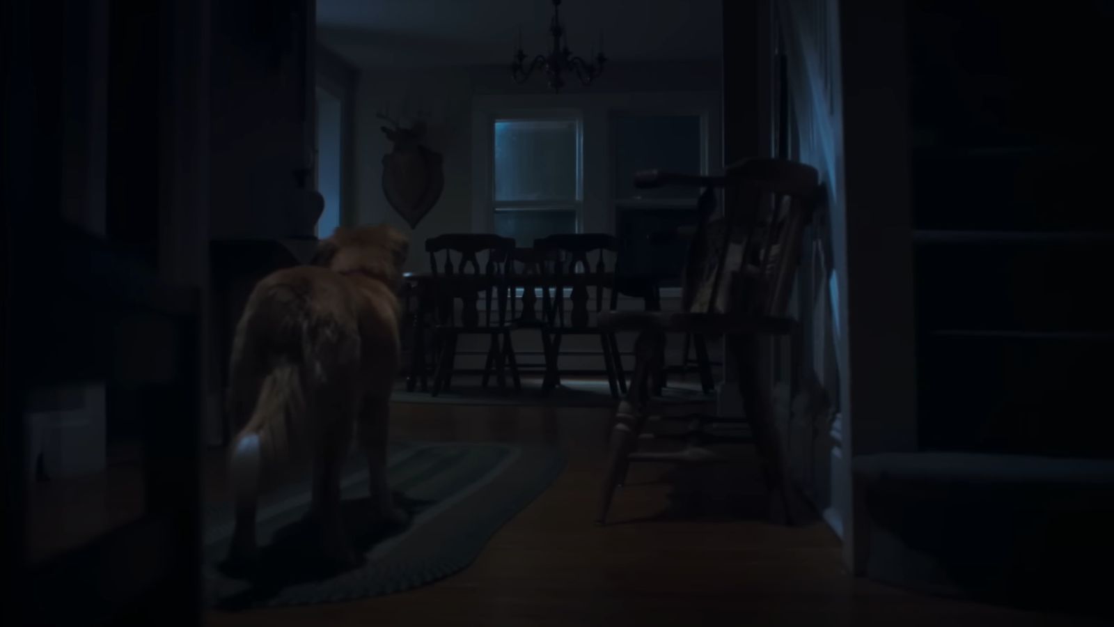 Still from Good Boy (Image via IFC Films)