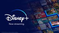 Disney Plus (Image Source: Disney World)