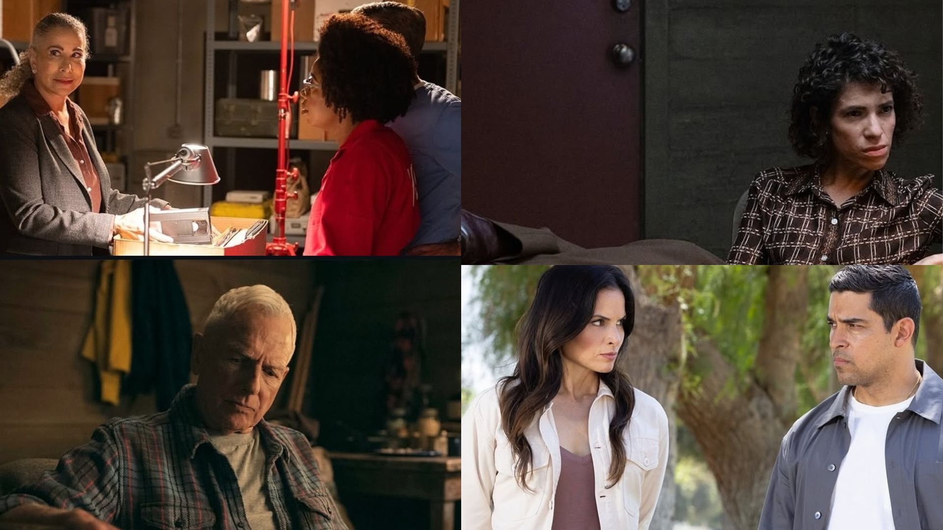 Cast and character guide for NCIS Season 23 Episode 5 (Images Via Instagram/@ncisverse)