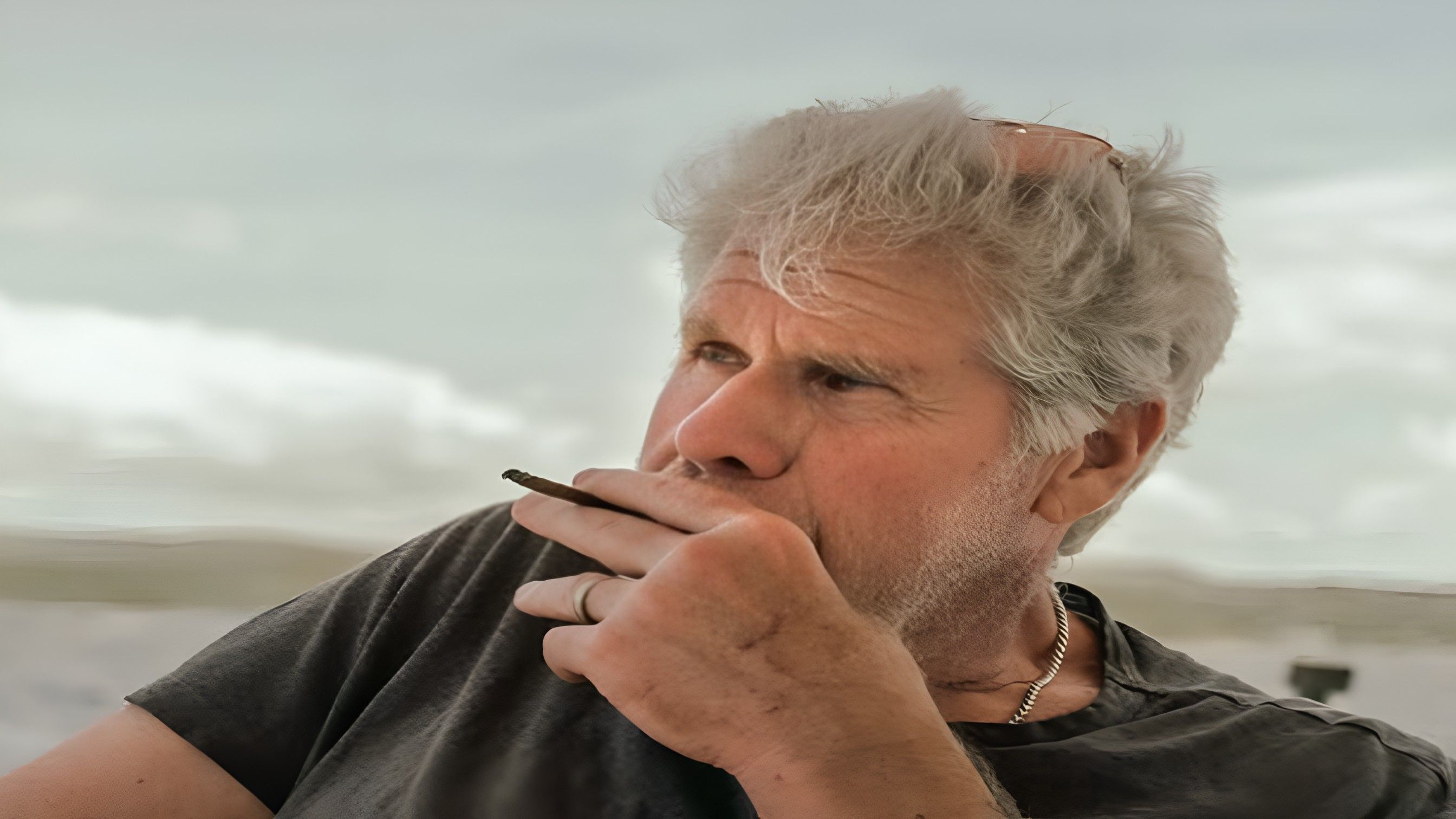 Ron Perlman ( Instagram / @perlmutations )