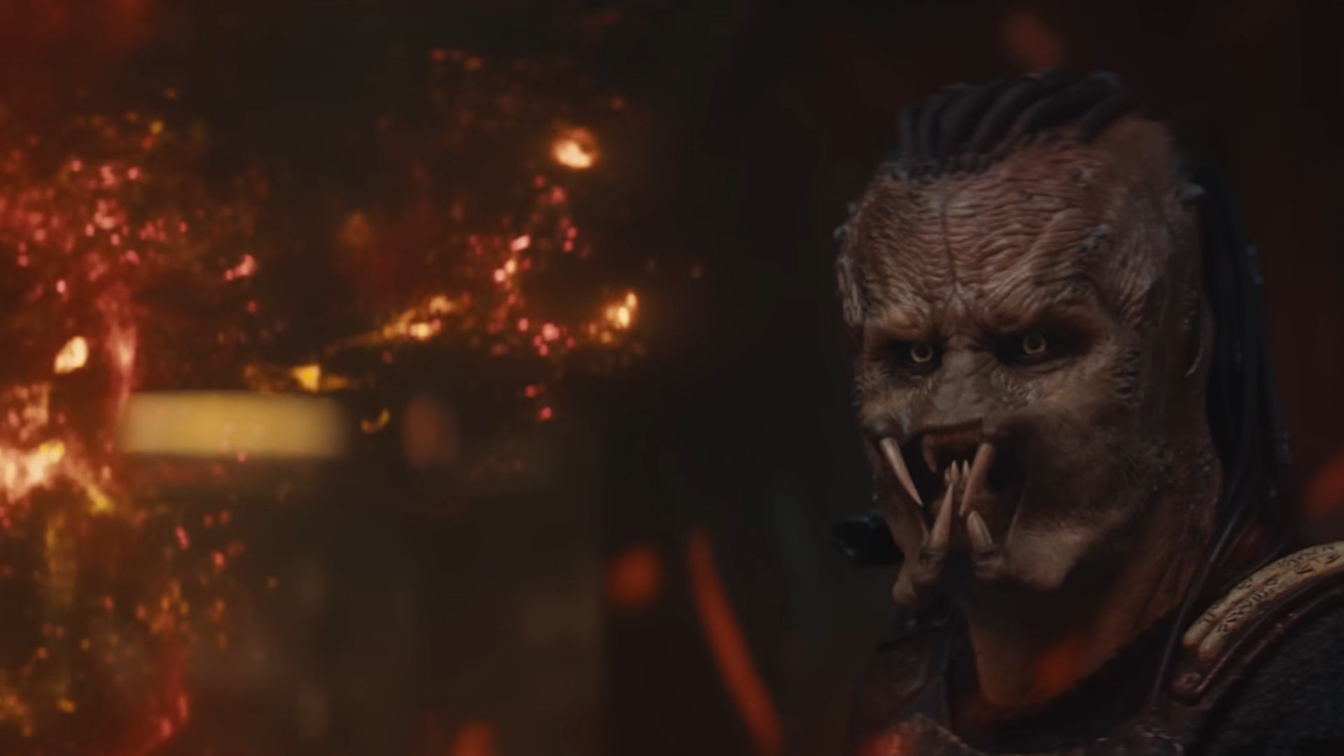 Young Predator watches something while something