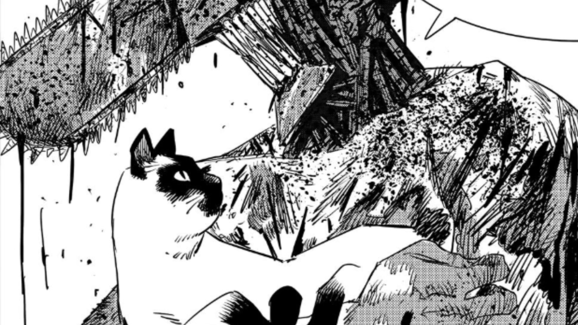 Chainsaw Man saves a cat instead of humans (Image Source: VIZ)