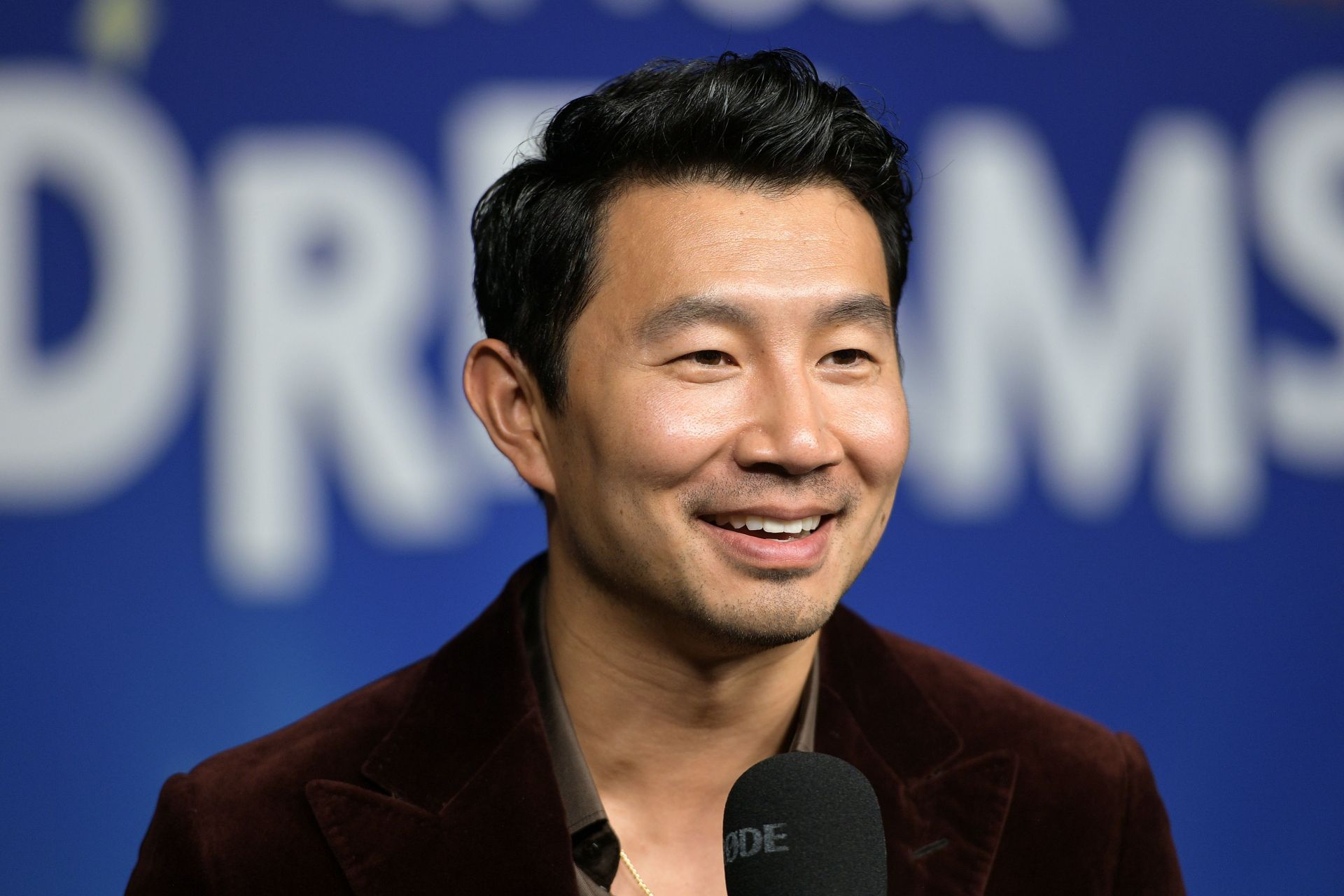 In Your Dreams Premiere - Source: Getty