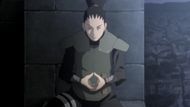 Shikamaru (Image Credit: Studio Pierrot)