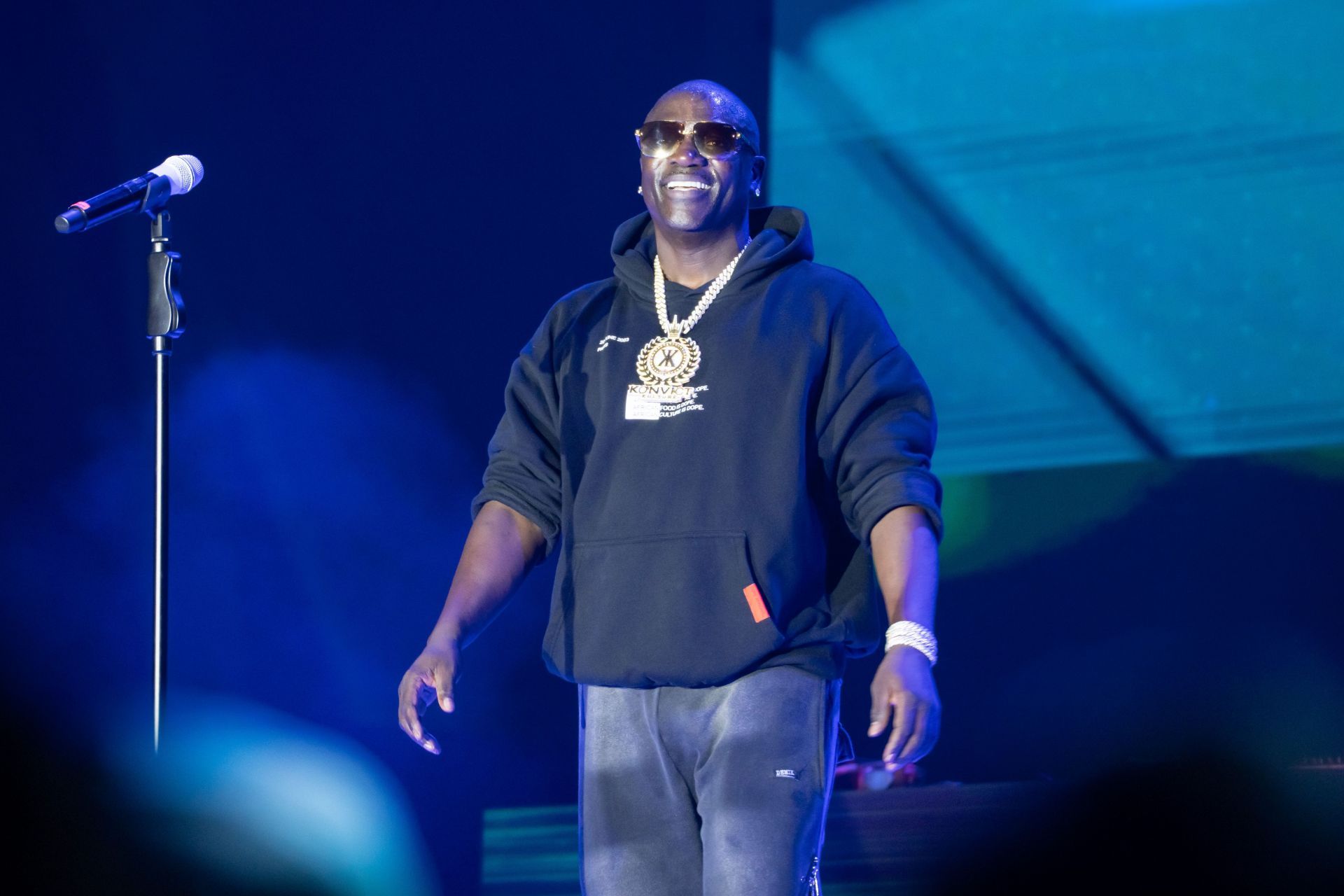 American Singer Akon Performs At Concert In Delhi - Source: Getty