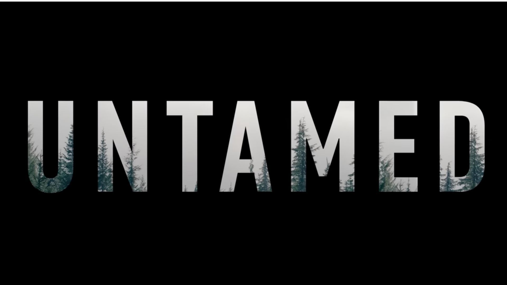 Untamed (Image via YouTube/@Netflix)