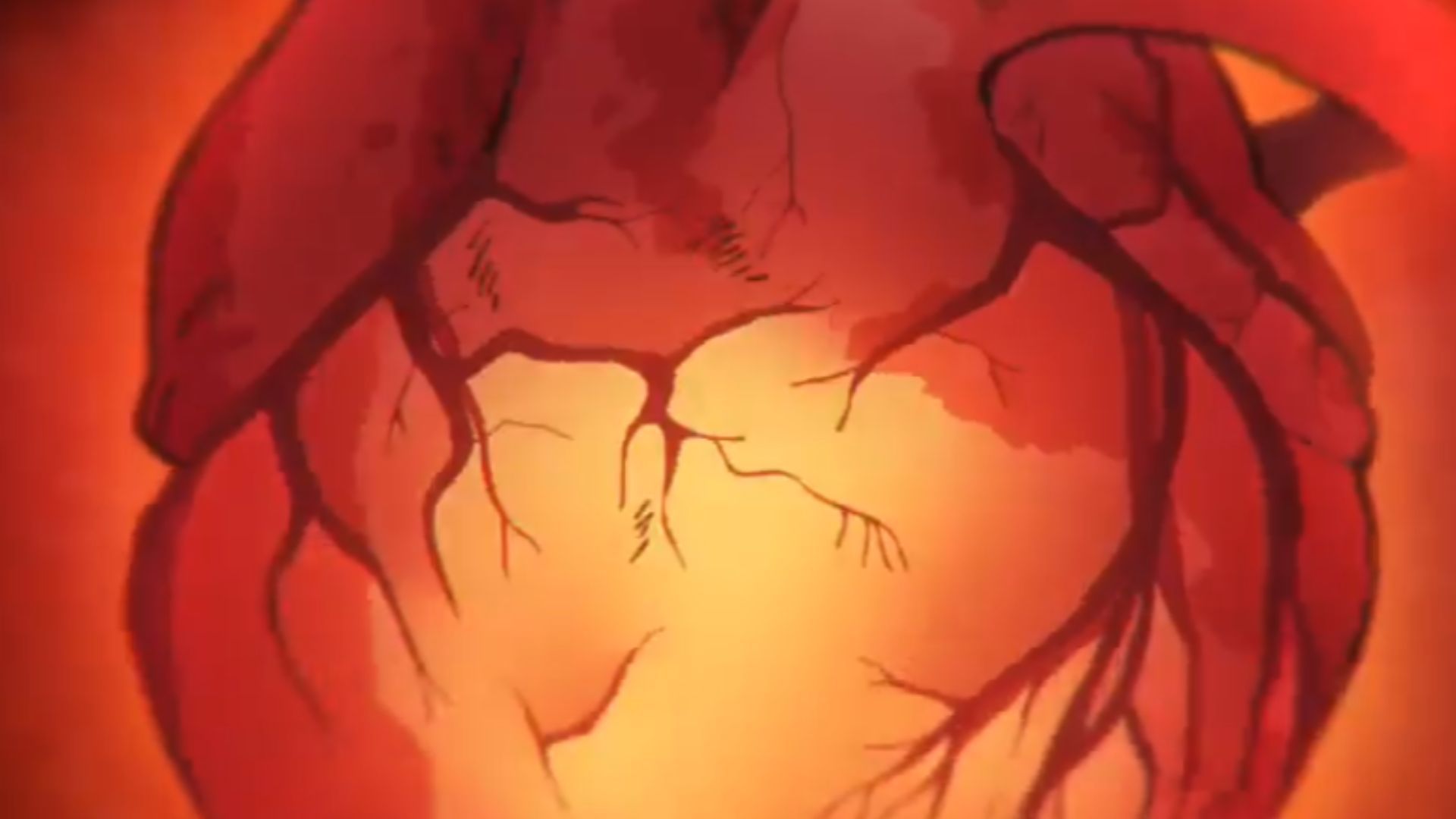 Sanda&#039;s heart (Image Source: Science SARU)