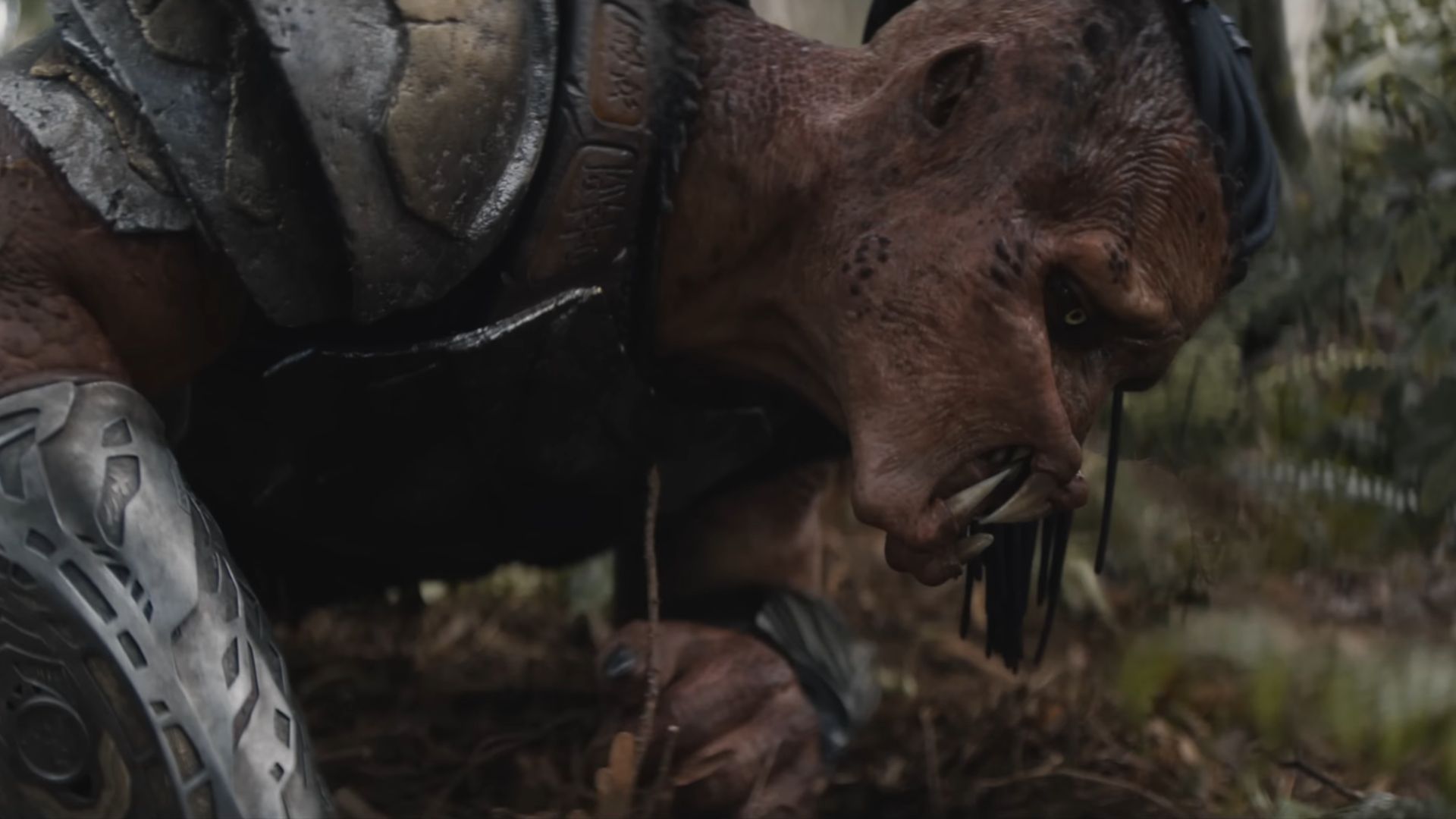 A still from Predator: Badlands