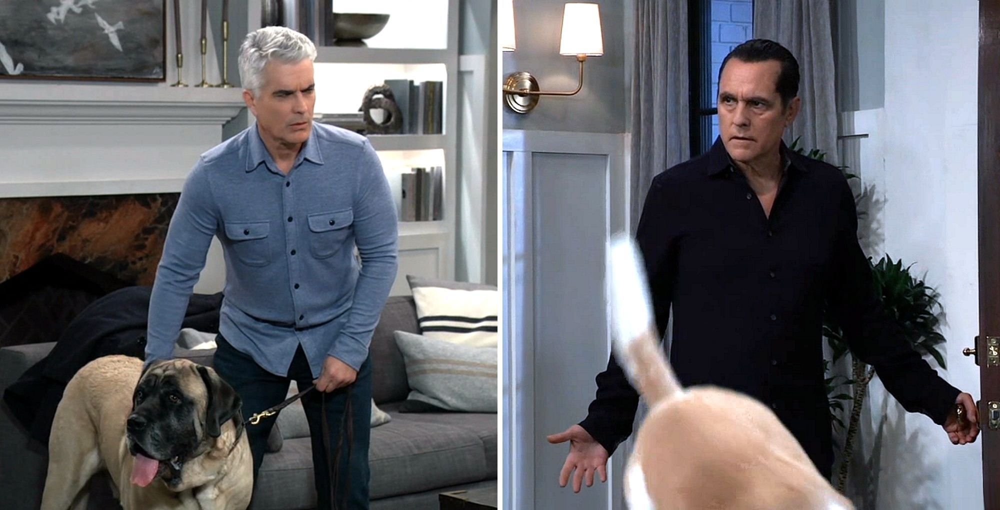 General Hospital&#039;s Ric and Sonny dealt with dogs. | Image Source: ABC