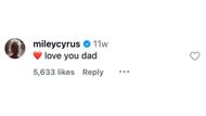 Miley Cyrus's comment on Billy's post. (Image via Instagram/@billyraycyrus)