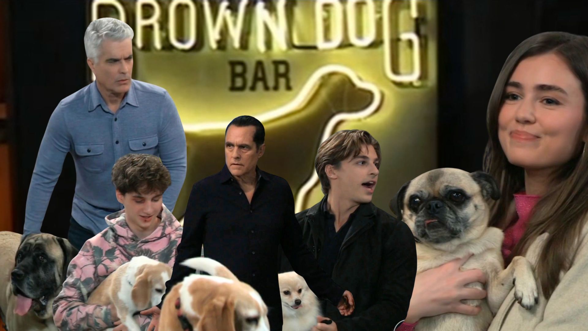 General Hospital had a week full of dogs | Image: ABC