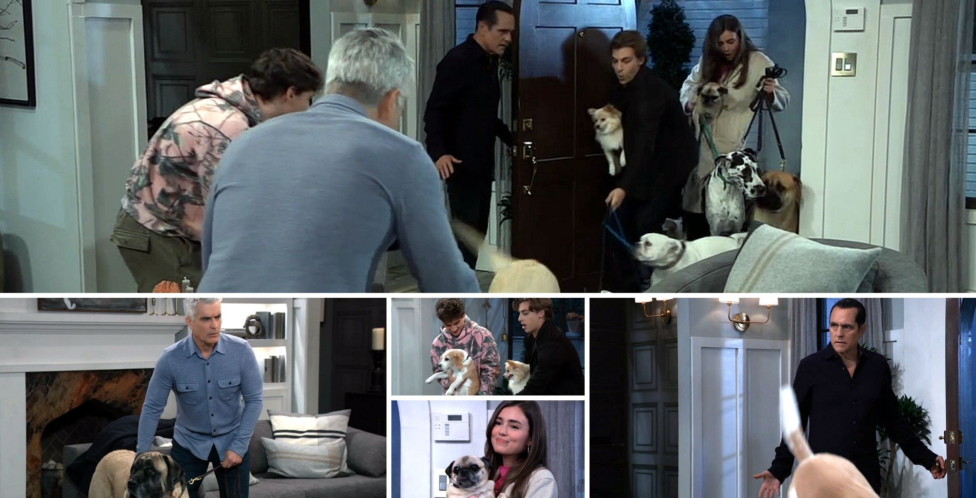 Dogs flood Sonny&#039;s house on General Hospital. | Image Source: ABC