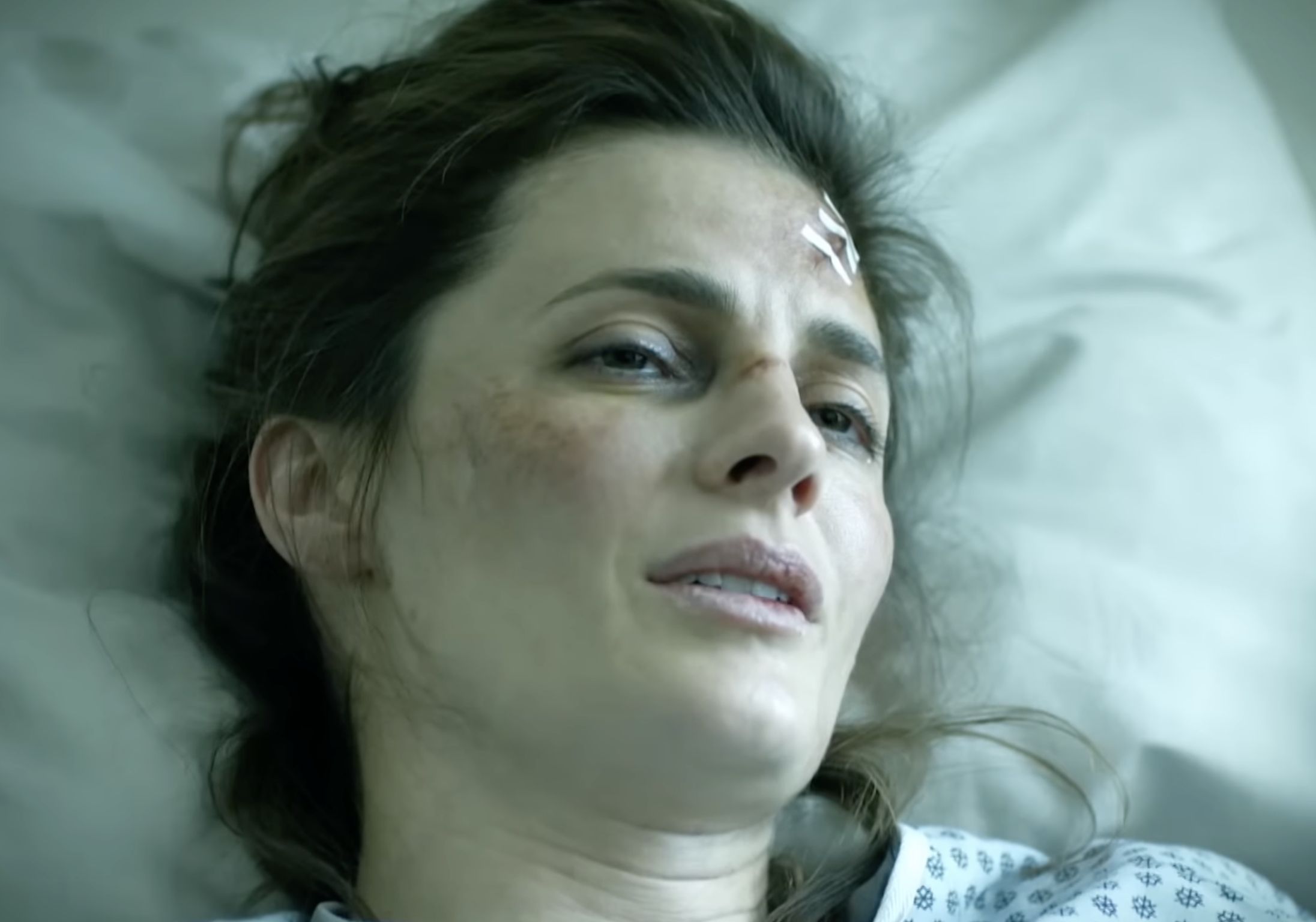 Absentia Season 3 Episode 1 recap (Image Via Prime Video)