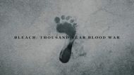 Bleach Thousand-Year Blood War (Image Credit: Studio Pierrot)
