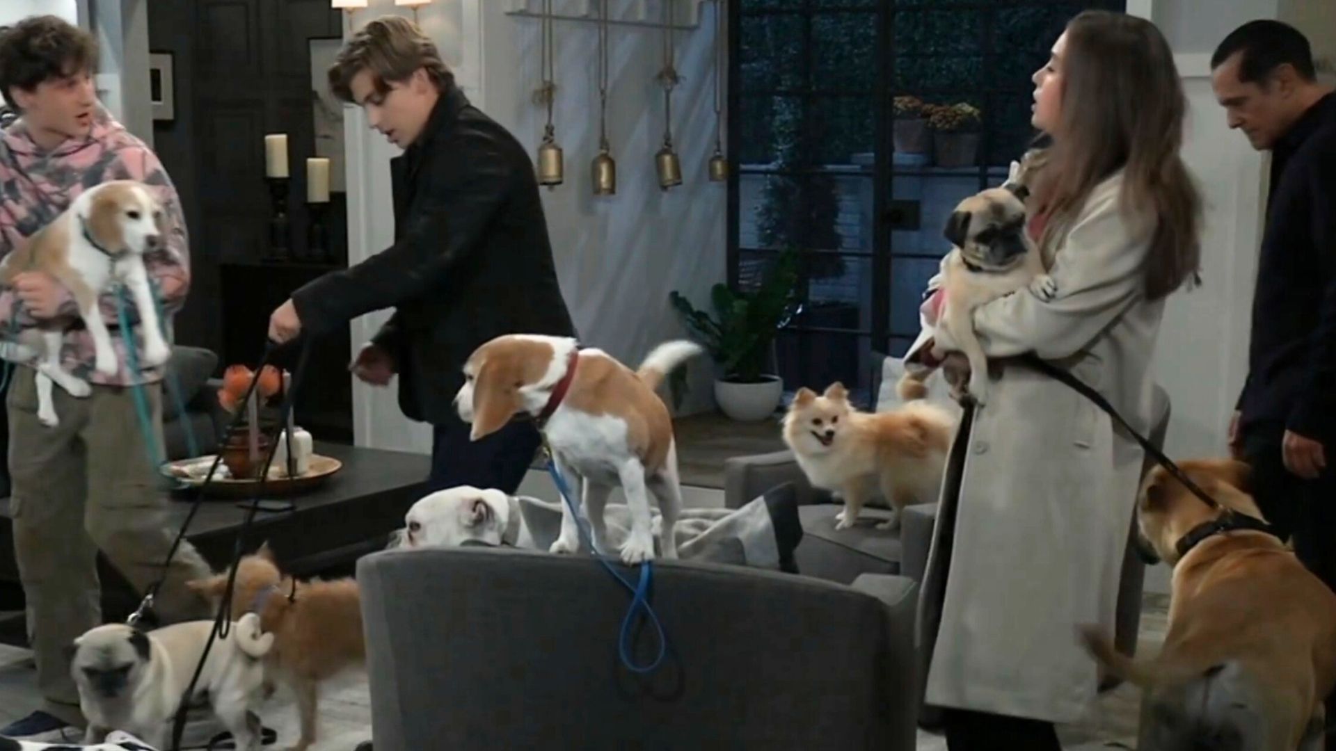 There were dogs all over Sonny&#039;s living room | Image: ABC
