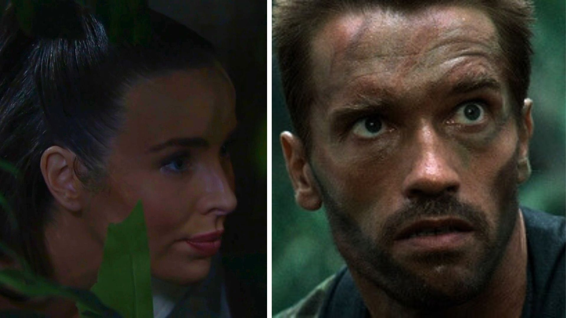 The Bold and the Beautiful: Ivy in the bushes and Arnie in the bushes | Image: CBS and YouTube