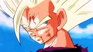 Gohan (Image Credit: Toei Animation)
