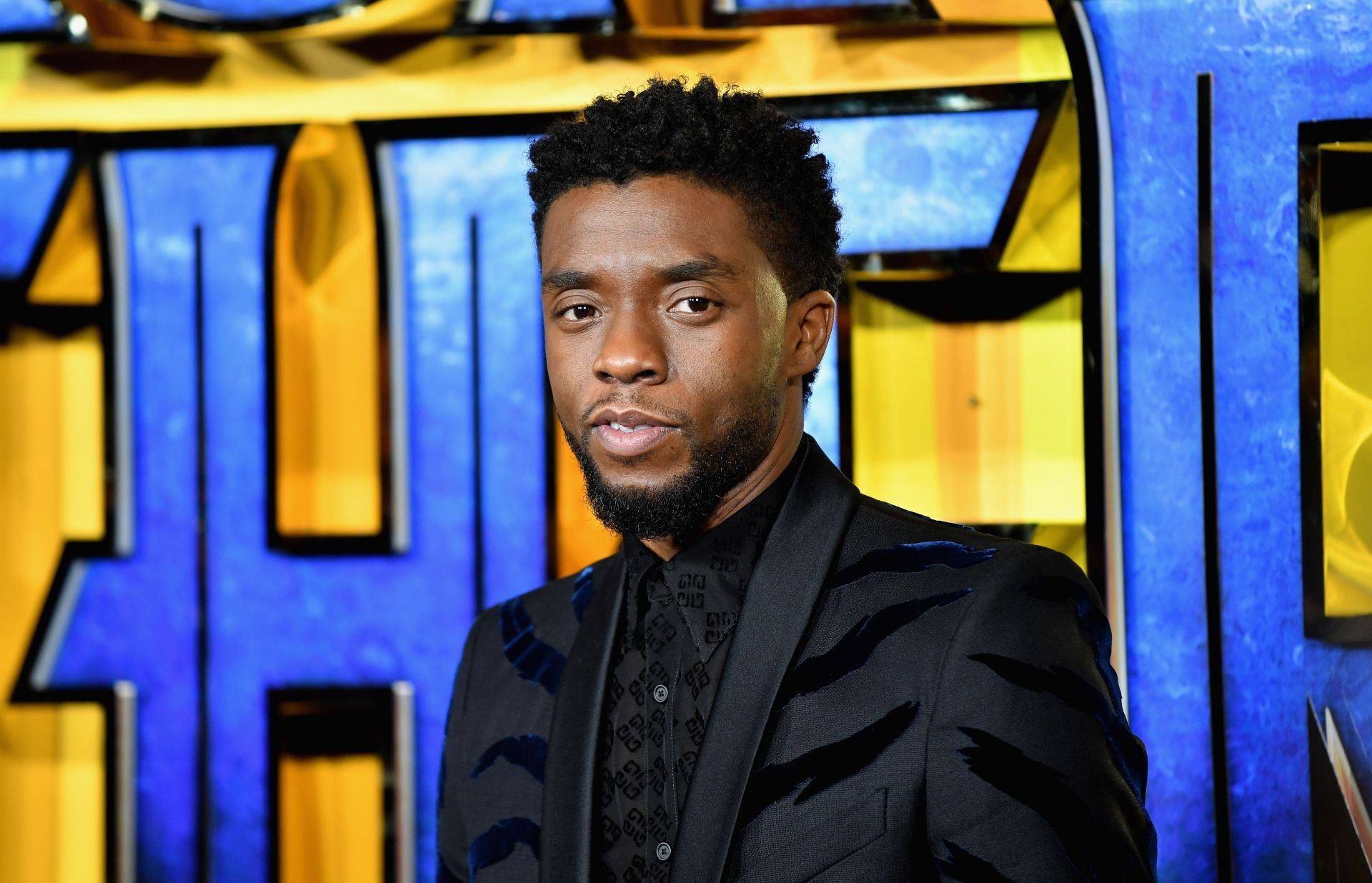 European Premiere Of Marvel Studios' Black Panther - Source: Getty