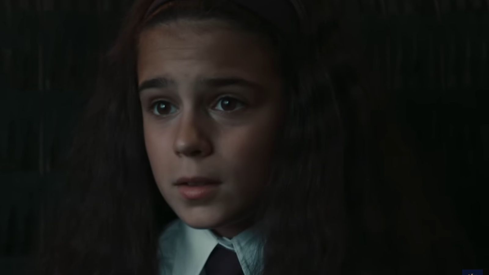 We finally have the first look at the new wand of Hermione Granger from Harry Potter 