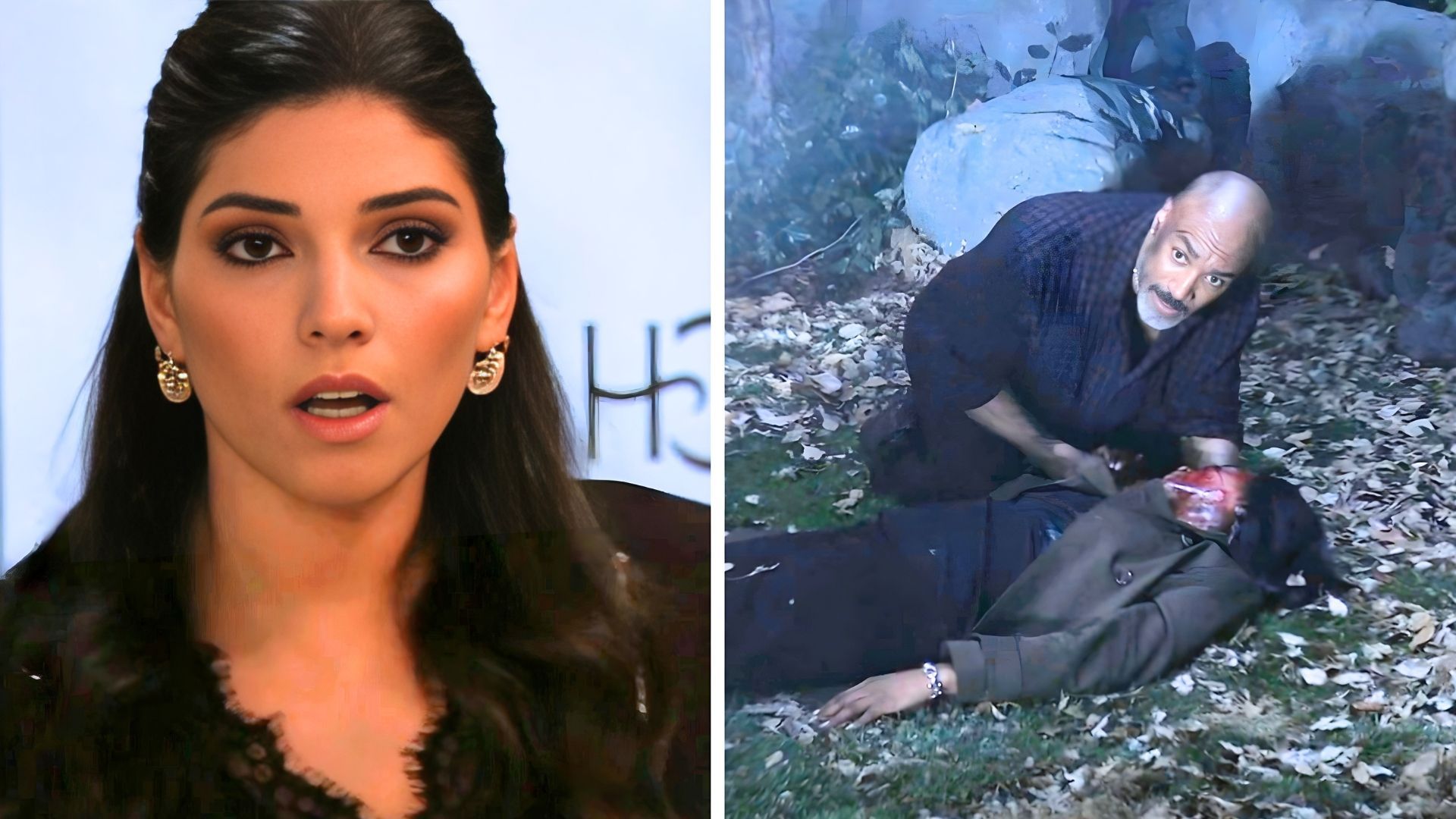 Did Brook Lynn cause the collisions?