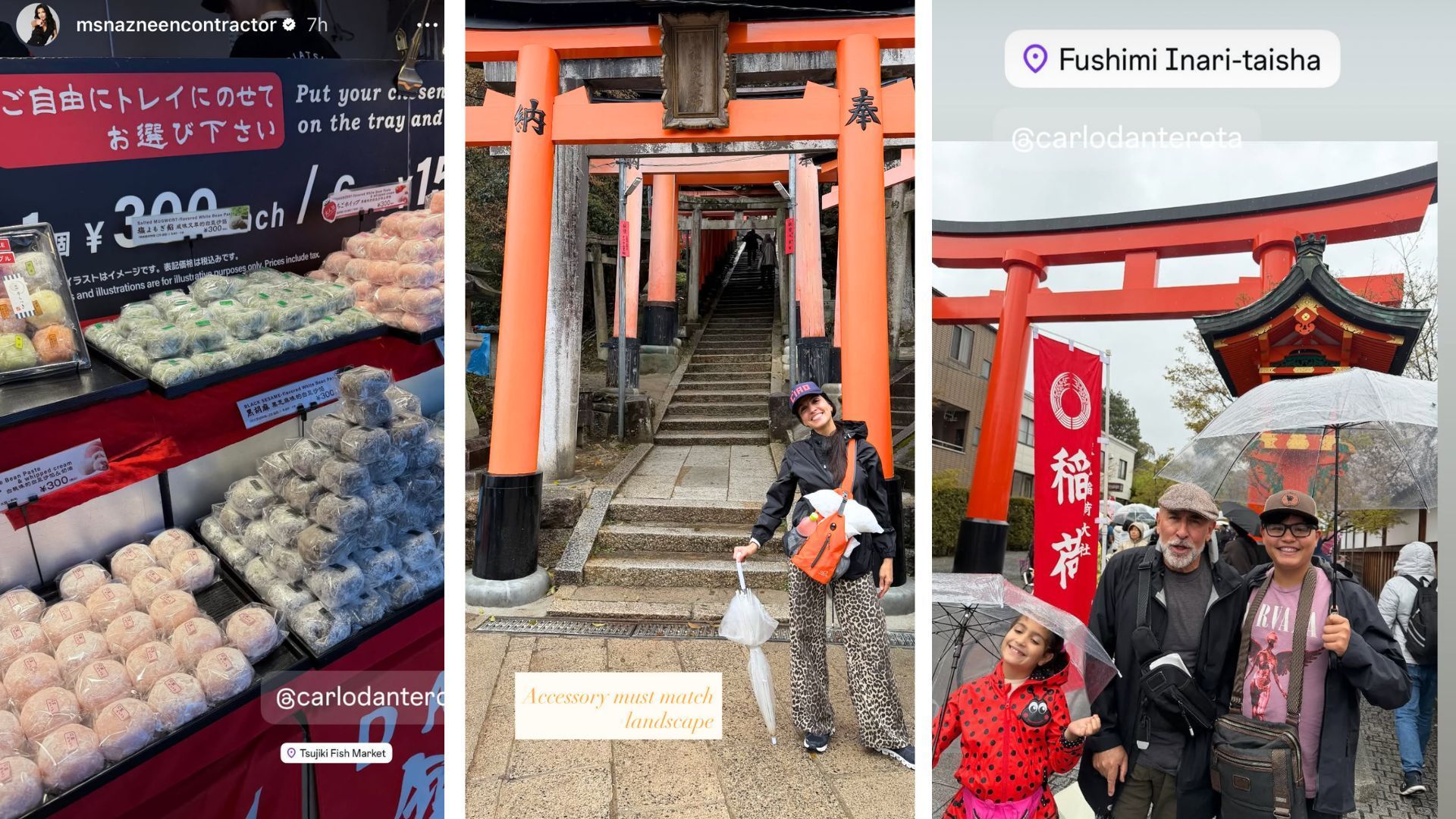 Carlo Rota, Nazneen Contractor and their children in Japan for their anniversary | Images: Nazneen Contractor/Instagram