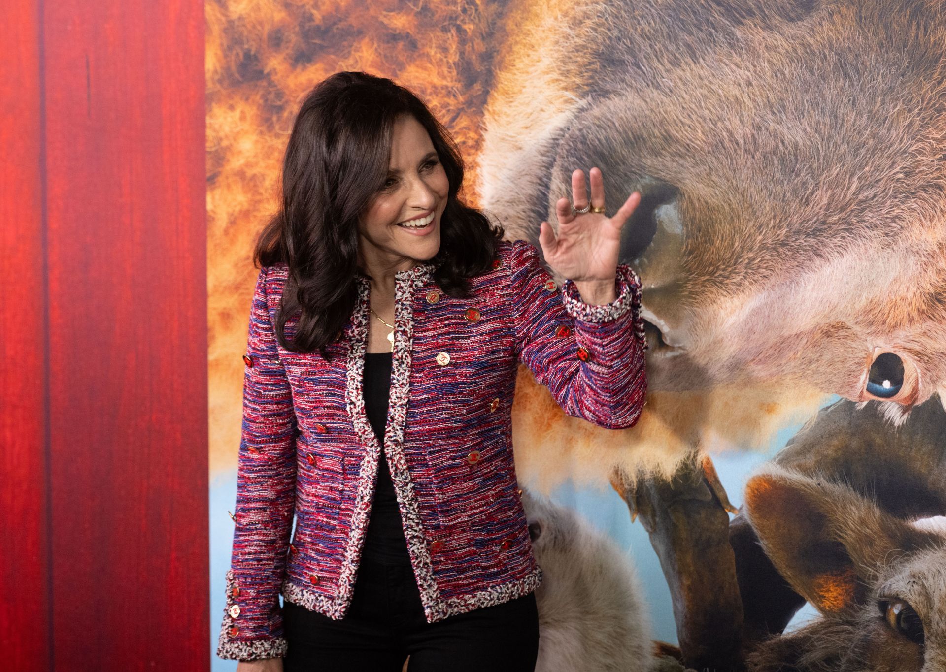 "The Sheep Detectives" New York Premiere - Source: Getty