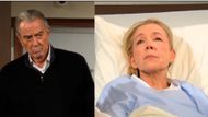Victor has been there for Nikki ever since he learned of her medical condition | Image: CBS