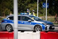 Alana Alves da Silva dies in crash - Source: Getty