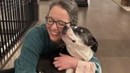 Alison's dog - Willow is shown in A Death in the Stairwell (Image via YouTube/@48 Hours)