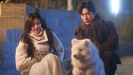The couple and their pet (Image via X/@YoukuOfficial)