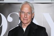 Mark Harmon - Source: Getty