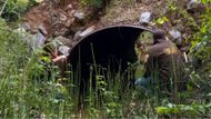 A scene from Tracker Dakota Black (Image via YouTube/@48 Hours)