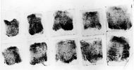 Elizabeth Short Fingerprints - Source: Getty