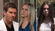 Lucas, Lulu and Scout may all contribute to bringing forward the truth | Image: ABC